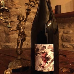 Poignée de Raisin - Domaine Gramenon - michele-aubery-laurent-maxime-francois-laurent