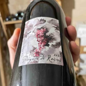 Poignée de Raisin - Domaine Gramenon - Michèle Aubéry-Laurent & Maxime-Francois Laurent 