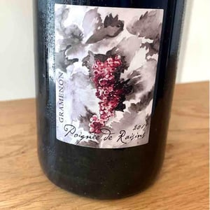 Poignée de Raisin - Domaine Gramenon - michele-aubery-laurent-maxime-francois-laurent