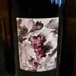 Poignée de Raisin - Domaine Gramenon - michele-aubery-laurent-maxime-francois-laurent