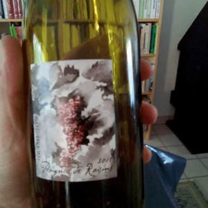 Domaine Gramenon - Michèle Aubéry-Laurent & Maxime-Francois Laurent - Poignée de Raisin