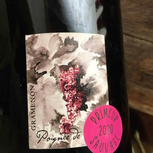 Poignée de Raisin - Domaine Gramenon - michele-aubery-laurent-maxime-francois-laurent