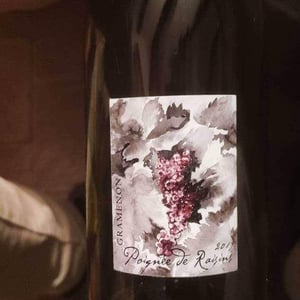 Domaine Gramenon - Michèle Aubéry-Laurent & Maxime-Francois Laurent - Poignée de Raisin