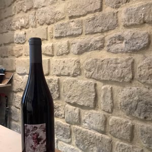 Poignée de Raisin - Domaine Gramenon - michele-aubery-laurent-maxime-francois-laurent