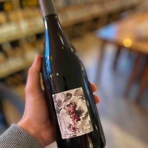 Poignée de Raisin - Domaine Gramenon - michele-aubery-laurent-maxime-francois-laurent