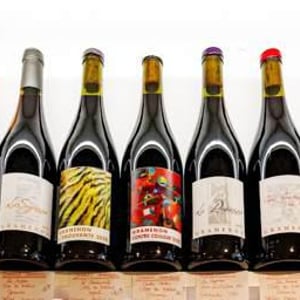 Poignée de Raisin - Domaine Gramenon - Michèle Aubéry-Laurent & Maxime-Francois Laurent 