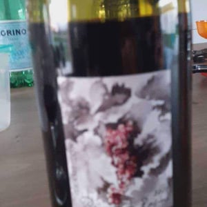 Domaine Gramenon - Michèle Aubéry-Laurent & Maxime-Francois Laurent - Poignée de Raisin