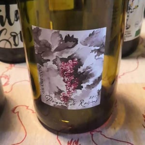 Poignée de Raisin - Domaine Gramenon - michele-aubery-laurent-maxime-francois-laurent