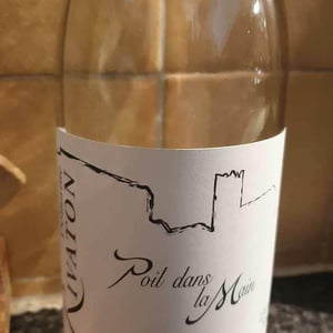 Poil dans la main - Domaine Rivaton - Frédéric Rivaton 
