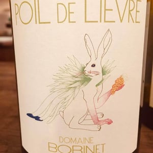 Poil de Lievre - Domaine Calvez-Bobinet - sebastien-bobinet-emeline-calvez