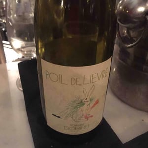 Poil de Lievre