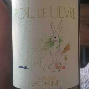 Domaine Calvez-Bobinet - Sébastien Bobinet & Emeline Calvez - Poil de Lievre