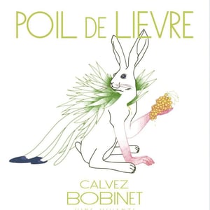 Poil de Lievre