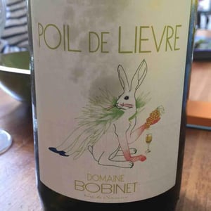 Poil de Lievre - Domaine Calvez-Bobinet - sebastien-bobinet-emeline-calvez