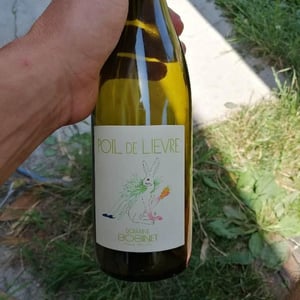 Domaine Calvez-Bobinet - Sébastien Bobinet & Emeline Calvez - Poil de Lievre
