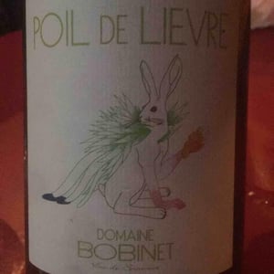 Domaine Calvez-Bobinet - Sébastien Bobinet & Emeline Calvez - Poil de Lievre