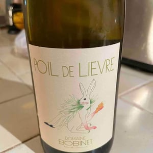 Poil de Lievre - Domaine Calvez-Bobinet - sebastien-bobinet-emeline-calvez
