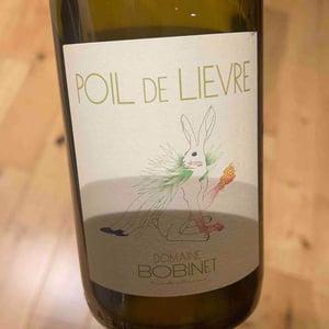 Domaine Calvez-Bobinet - Sébastien Bobinet & Emeline Calvez - Poil de Lievre