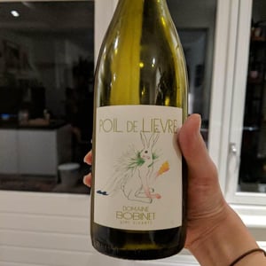 Poil de Lievre - Domaine Calvez-Bobinet - sebastien-bobinet-emeline-calvez