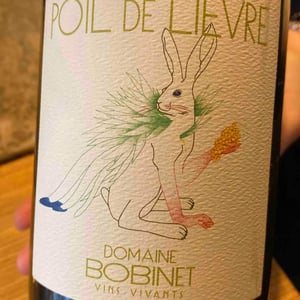 Domaine Calvez-Bobinet - Sébastien Bobinet & Emeline Calvez - Poil de Lievre