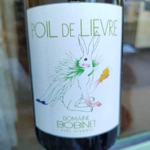 Poil de Lievre - Domaine Calvez-Bobinet - sebastien-bobinet-emeline-calvez