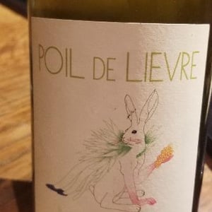 Domaine Calvez-Bobinet - Sébastien Bobinet & Emeline Calvez - Poil de Lievre