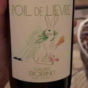 Domaine Calvez-Bobinet - Sébastien Bobinet & Emeline Calvez - Poil de Lievre