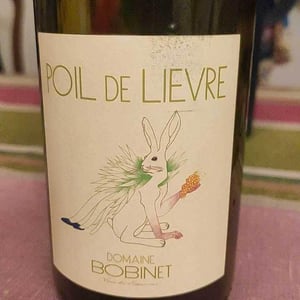 Poil de Lievre - Domaine Calvez-Bobinet - sebastien-bobinet-emeline-calvez