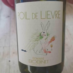 Poil de Lievre - Domaine Calvez-Bobinet - sebastien-bobinet-emeline-calvez