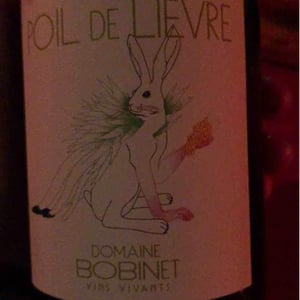 Poil de Lievre - Domaine Calvez-Bobinet - sebastien-bobinet-emeline-calvez