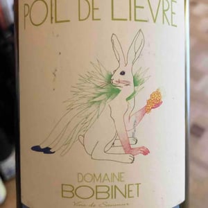 Domaine Calvez-Bobinet - Sébastien Bobinet & Emeline Calvez - Poil de Lievre