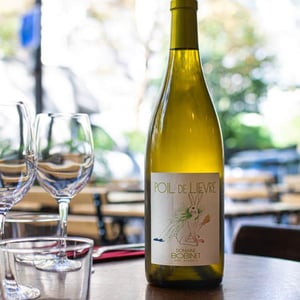 Poil de Lievre - Domaine Calvez-Bobinet - sebastien-bobinet-emeline-calvez