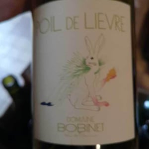 Poil de Lievre - Domaine Calvez-Bobinet - sebastien-bobinet-emeline-calvez