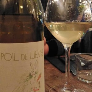 Domaine Calvez-Bobinet - Sébastien Bobinet & Emeline Calvez - Poil de Lievre