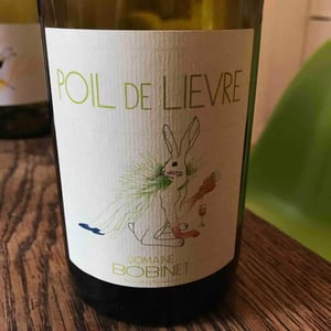 Poil de Lievre