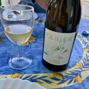 Poil de Lievre - Domaine Calvez-Bobinet - sebastien-bobinet-emeline-calvez