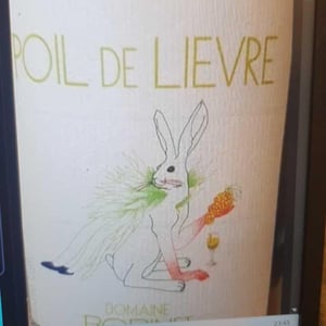 Poil de Lievre - Domaine Calvez-Bobinet - sebastien-bobinet-emeline-calvez