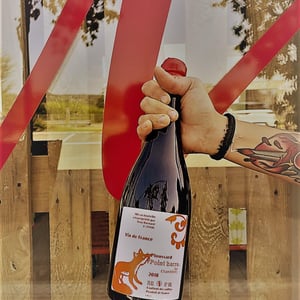 Point Barre - Domaine Bornard - tony-bornard