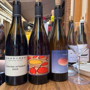 Point-Triple - Domaine Lampyres - francois-xavier-daure -2022