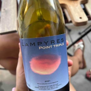 Point Triple - Domaine Lampyres - François-Xavier Dauré -2020