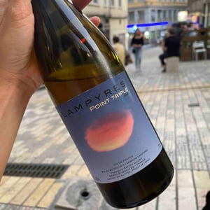 Point Triple - Domaine Lampyres - François-Xavier Dauré -2020