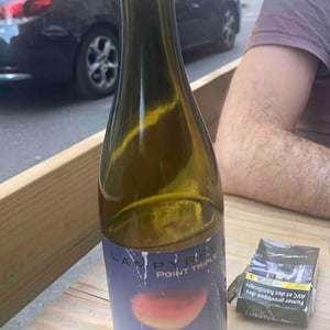 Point Triple 2021 - Domaine Lampyres - François-Xavier Dauré -2020