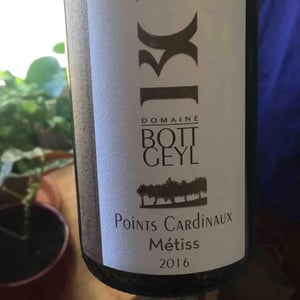 Points Cardinaux - Métiss - Bott-Geyl - jean-christophe-bott-valerie-bott-cartier