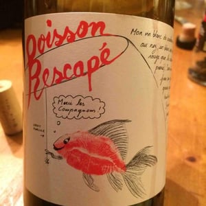 Poisson Rescapé - Domaine de Clairac/Domaine d'O - deborah-olivier-knowland