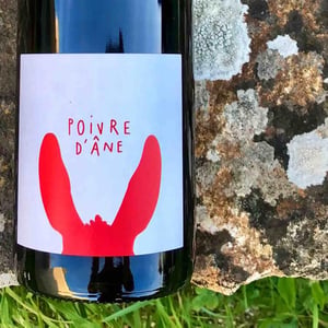 Poivre d'Ane Rouge - Poivre d'Ane - alexandre-pons