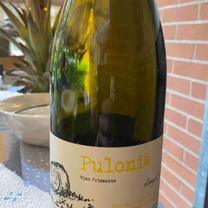 Pulonia - Angol d'Amig - marco-lanzotti