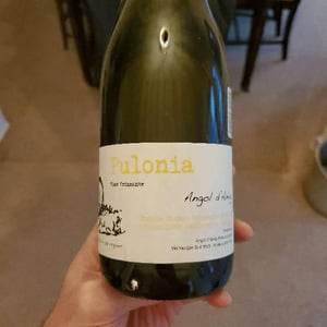 Pulonia - Angol d'Amig - Marco Lanzotti 