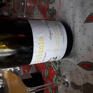 Pulonia - Angol d'Amig - marco-lanzotti