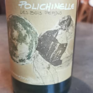 Polichinelle - Les Bois Perdus - lena-perdu-alexis-robin -2021
