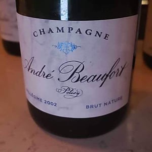 Polisy Millesimé Brut - Champagne André & Jacques Beaufort - andre-jacques-beaufort